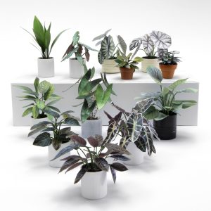 Miniature potted plants in scale 1:12